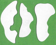 Frog Pond