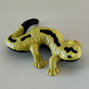 Salamander