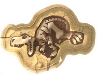 Dino Discovery