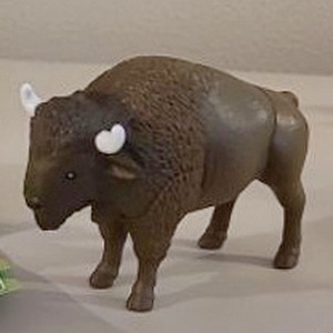 Bison
