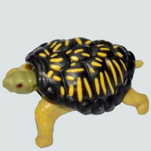 Schildkröte