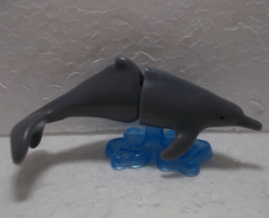 Delphin