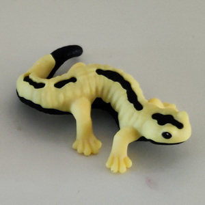 Salamander