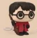 Harry Potter (Harry)