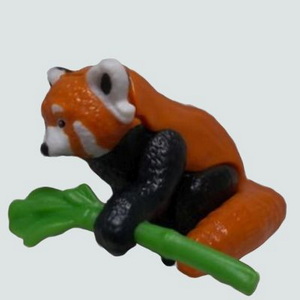 Roter Panda